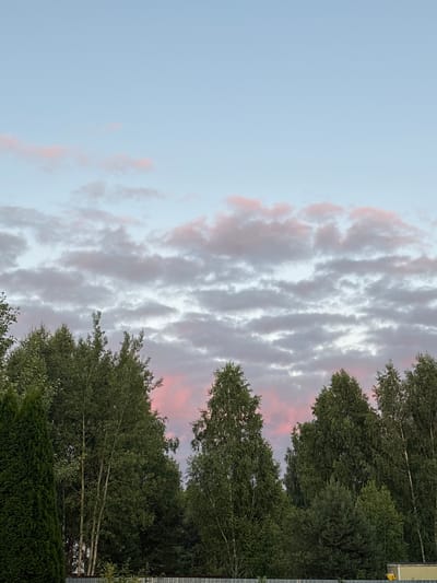 The image depicts a landscape scene with a prominent sky and trees. The sky is a soft blue, transitioning to lighter hues near the horizon. Wispy clouds, tinged with pink and gray, are scattered across the sky, suggesting a sunset or sunrise. Below the sky, a dense line of trees forms the foreground. These trees are a mix of deciduous and coniferous varieties, with lush green foliage. Among the deciduous trees, some have white, slender trunks, possibly birch trees. The overall impression is of a natural, serene environment. The image appears to be taken in an outdoor setting, likely in a rural or suburban area, possibly near Мещёры, Russia, given the mention of the location. There are no people or animals visible in the image. The lighting suggests it is either early morning or late evening.