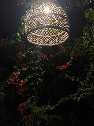 In Kabalana, Sri Lanka, a woven bamboo pendant lamp illuminates a dark outdoor setting at night. The lamp, with its intricate crisscross pattern, hangs suspended above lush greenery. Red flowers, likely bougainvillea, are intertwined with the branches and leaves, some of which cascade downwards. The surrounding foliage is dense, creating a natural, overgrown ambiance. A palm frond is visible in the lower portion of the frame, adding to the tropical feel. The lighting from the lamp casts a warm glow, highlighting the textures of the bamboo and the vibrant colors of the flowers against the dark background.