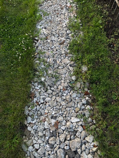 The image shows a narrow, unpaved path covered in gravel and small stones. The path is bordered on both sides by lush green grass. The grass on the left side of the path is dotted with small white clover flowers. The grass on the right side of the path is more varied, with some larger plants and weeds mixed in. The path appears to be in a natural or semi-natural setting, possibly a park or a rural area. The image is taken from a high angle, looking down onto the path. The overall impression is one of a peaceful and undisturbed outdoor scene. The location is not specified in the image.