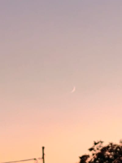A pale crescent moon is visible in the dusky sky over Mława, Poland. The sky transitions from a soft lavender hue at the top to a pale peach color near the horizon. In the lower portion of the image, the dark, blurred silhouette of a tree and a utility pole can be seen against the illuminated sky.