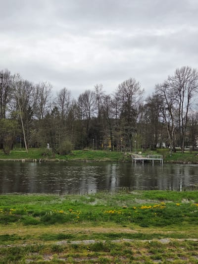 The image presents a horizontal view of a river scene, with the left side showing bare trees against a cloudy sky. The right side shows a green riverbank with yellow wildflowers. A small, white structure, possibly a pier or platform, is visible on the river's edge. The exact location in Nevestino, Bulgaria, cannot be determined solely from the image. No people or interactions are evident.