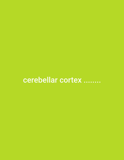 The image displays the text "cerebellar cortex ......." in white against a solid, light green background. The text is positioned near the center of the frame. The dots trailing the text suggest an unfinished thought or a placeholder for additional information.