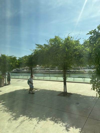 The image captures a sunny day outdoors, likely along a waterfront in Seville, Spain, given the architectural style of buildings visible across the river and the presence of lush greenery. The foreground is a paved area with a grid pattern, with several trees casting dappled shadows. In the middle ground, a man with sunglasses, wearing a white t-shirt and patterned shorts, walks towards the right, carrying a blue backpack. Another person, wearing a dark t-shirt and shorts, walks towards the left, with a basket-like object on their left side. A body of water, possibly a river, is visible behind a low wall and railing. Across the water, a line of buildings with light-colored facades and red-tiled roofs can be seen. The sky is blue with some scattered clouds and a bright sun creating lens flare effects.
