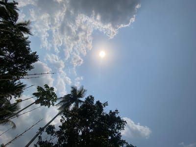 The image depicts an upward-looking view of the sky and tree canopies in Ikot Ete Ekpo, Nigeria, on a bright day. The sky is predominantly light blue, transitioning to a deeper blue in the upper right. A brilliant, circular sun is centered in the upper-left quadrant, emitting a visible halo. Scattered white and grey cumulus clouds are present, with denser formations in the upper left. Various trees are silhouetted against the sky, occupying the lower and left portions of the frame. These include several tall, slender trees consistent with palm trees, recognizable by their distinctive fronds, and other dense, leafy trees. A few bare, bamboo-like stalks also extend upwards from the lower left. There are no visible people or discernible actions or interactions in the scene.