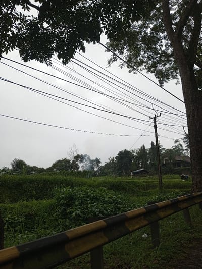 This image displays an outdoor, semi-rural landscape situated in the city of YonPhoogla, Bhutan, under an overcast, light grey sky. Multiple dark electrical or communication wires traverse the upper half of the frame diagonally. A large tree with dark green foliage is visible in the upper left, while a thick tree trunk occupies the far right edge. The mid-ground features an extensive area of lush green vegetation, including dense grasses and bushes. In the foreground, a black and yellow striped road barrier angles from the lower left to the mid-right. A wooden utility pole with cross-arms stands in the center-right, supporting several overhead lines. Beyond the immediate vegetation, a treeline is visible. To the left of the utility pole, a small, dark-roofed shack is partially discernible amidst the trees, with a larger, dark-roofed house appearing further right. A distinct plume of light-colored smoke rises from behind the trees in the mid-left distance, indicating a localized burning activity. No individuals or animals are present.