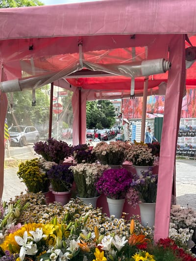 A vibrant flower display occupies the right side of the frame, featuring diverse blooms of white, yellow, orange, and purple hues arranged in white buckets. To the left, a pink canopy structure with a transparent plastic covering partially obscures the view of a street. In the background, the scene reveals a street with cars and buildings. This image was taken in the city of Kadıköy, Turkey.