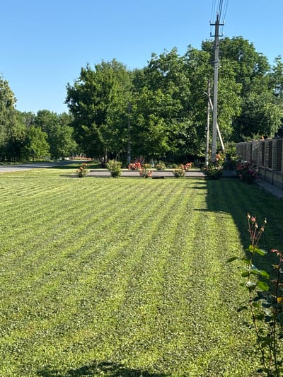 The image depicts a sunny day in Hraniv, Ukraine, with a neatly mown lawn in the foreground. The lawn exhibits distinct mowing patterns, creating light and dark stripes across its surface. Beyond the lawn, a paved walkway runs horizontally, bordered by flower beds containing numerous blooming roses in shades of pink, orange, and red. A tall utility pole with power lines is visible behind the flower beds, casting a shadow across the lawn. In the background, a fence made of brick and metal spans the width of the image, separating the property from what appears to be a residential area with houses partially obscured by lush green trees. A road is visible to the left of the scene, suggesting a street or thoroughfare. The sky is clear and bright blue, indicating fair weather. A rose bush with developing buds is in the lower right corner of the frame.