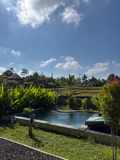 In Tampaksiring, Indonesia, a resort scene unfolds under a bright, sunny sky with scattered white clouds. A small, kidney-shaped swimming pool with clear turquoise water takes center stage. The pool is bordered by a dark gray stone coping and a concrete rim. A green and blue striped towel is draped over a dark wicker lounge chair next to the pool. Lush, vibrant green plants with large leaves, possibly banana plants, flank the pool. Beyond the greenery, a landscape of rice paddies stretches out, with terraced fields showing patches of harvested and growing rice. Several palm trees and other tropical vegetation dot the scene, interspersed with traditional Balinese-style buildings with dark, peaked roofs. In the foreground, dark gray gravel lines a path to the left, contrasting with the neatly mown green grass. A small, weathered tree trunk stands in the grass near the pool. The overall impression is one of a tranquil tropical retreat.