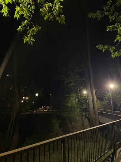 The image depicts a nighttime scene in what appears to be a park or natural area, possibly in Чернышевка, Russia, based on the prompt. Several street lights illuminate a path or walkway lined with trees. A group of people is visible further down the path, likely engaged in a social gathering or simply passing through. To the right of the frame, a portion of a metal structure, possibly a pedestrian bridge or elevated walkway, is visible. The overall environment suggests an urban park setting at night.