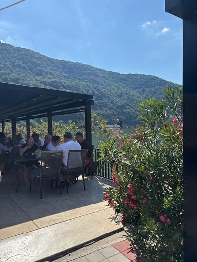 This is a photograph of an outdoor seating area at a restaurant overlooking a body of water and a heavily wooded mountain range. In the foreground, a dark, wooden overhang covers several tables and chairs where a group of people are seated and interacting. The people are casually dressed and appear to be enjoying a meal or drinks. To the right of the seating area, lush green foliage with pink flowers is in bloom, partially obscuring the view of the water and mountains. The water, likely a river or lake, is calm and reflects the bright, blue sky. The mountain in the background is covered in dense, green trees, indicating a natural, possibly rural, setting. The overall atmosphere suggests a pleasant, sunny day at a scenic waterfront restaurant. The location is Divic, Bosnia and Herzegovina.