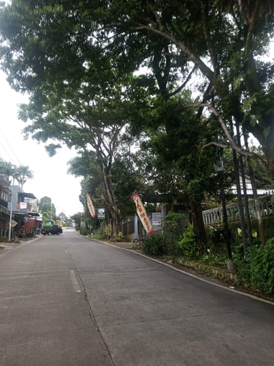 The image displays a quiet, paved two-lane road in Eheliyagoda, Sri Lanka, extending uphill and curving slightly to the left under an overcast sky. Large, mature trees with dense green canopies extensively overhang the scene, particularly on the right, providing significant shade.
On the right side of the road, dense green vegetation borders a white, ornate concrete balustrade, behind which parts of a building are visible. Two red vertical banners with light-colored text are attached to poles or tree trunks along this side, slightly swaying. A black lamppost with a square utility box is also present.
On the left side of the road, a series of multi-story buildings, some appearing residential or commercial, line the street. These structures feature balconies and some have corrugated metal coverings. Further down the road, a dark-colored utility vehicle is parked on the left shoulder. Utility lines are visible overhead, running parallel to the road.
The concrete road surface exhibits visible cracks and a faded white dashed center line. No individuals or active vehicles are present in the frame.