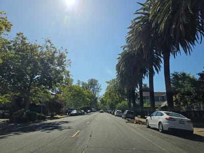 This media file captures a street scene in Sacramento, USA, on a sunny day. The road is lined with parked cars on both sides, and tall palm trees cast shadows on the asphalt. The sky is a clear blue with a bright sun in the upper left corner, creating lens flare. Green trees and foliage border the street, with some houses visible in the background. The activity appears to be a typical day with cars parked along the street. There is no discernible activity of people or events taking place. Notable details include the abundance of palm trees, suggesting a warm climate, and the sunny weather. The white car in the foreground has a license plate that reads "BYC1007". The overall impression is a peaceful, suburban street bathed in sunlight.