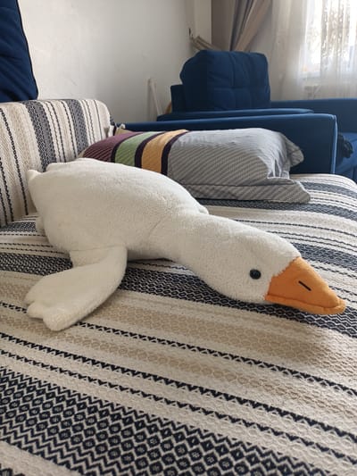 This is a close-up, eye-level shot of a white, plush goose-shaped stuffed animal lying on a sofa. The goose is the primary subject, positioned diagonally across the frame with its head on the right and its body extending towards the left. It has an orange beak and a black button eye. The goose is lying on a patterned throw or blanket that covers the sofa. The blanket features horizontal stripes in various neutral tones, including cream, beige, and black, with geometric patterns in some of the stripes.
Behind the goose, a large, colorful striped pillow is visible, adding a pop of color with stripes of purple, green, yellow, and gray. Further in the background, parts of a blue sofa and a white wall are visible. The lighting suggests it is daytime, with natural light possibly coming from a window not fully in view. The overall scene is domestic and relaxed, with the stuffed animal appearing to be casually placed on the furniture. There is no visible text in the image. The setting appears to be an indoor living space, consistent with a home environment in Nura, Kazakhstan.