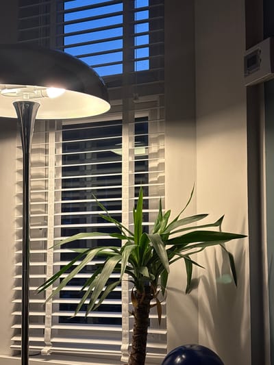 The image displays an indoor scene, rotated 90 degrees clockwise, suggesting it is viewed from a low angle looking upwards. When correctly oriented, a large green plant, resembling a Yucca, with long, pointed leaves and a visible brown trunk, occupies the right side of the frame, extending from the bottom towards the top.
To the left of the plant is a tall, modern floor lamp with a metallic stem and a white, dome-shaped shade. The lamp is illuminated, casting a bright light upwards and to the left, highlighting the ceiling and upper parts of the room.
Behind the lamp and the plant are large windows covered by white vertical blinds, which are partially open. Through the gaps in the blinds, a dark blue sky is visible, indicating it is evening or night outside. The artificial light from the lamp casts distinct shadows of the plant and the blinds onto the pale-colored walls.
In the upper right corner, a dark blue, round object, possibly a balloon or decorative sphere, is partially visible. At the very top of the frame, a rectangular white fixture, possibly an air vent or smoke detector, is mounted on the ceiling. Below the window, reflections of the blinds are visible on a dark, reflective surface, likely a table or floor. The overall ambiance is dimly lit by artificial light. No people or visible text are present in the image. The setting appears to be a contemporary living space or office in Manchester, United Kingdom.