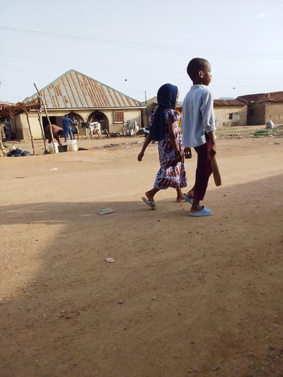 Two children, a girl and a boy, are walking on a dirt road in Bauchi, Nigeria. The girl wears a patterned dress and a blue hijab, while the boy wears a light-colored shirt and dark pants. He carries a stick in his hand. In the background, there are houses with corrugated metal roofs and people tending to livestock. There are overhead power lines in the distance. The scene appears to be a rural or semi-rural setting.