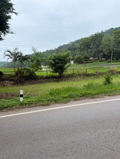 An overcast day in Samoeng Tai, Thailand, features a roadside view of lush green landscape. A paved road with a white line runs across the foreground. To the left of the road, a small, black and white striped post stands in the grass. Beyond the post, a vibrant green field stretches out, dotted with palm trees and other vegetation. A low fence, made of wooden posts and wire, separates the field from the foreground. In the distance, a cluster of trees and buildings are visible, nestled against a backdrop of rolling, tree-covered hills. The sky is a uniform gray, suggesting a cloudy or rainy atmosphere. No people are present in the image.