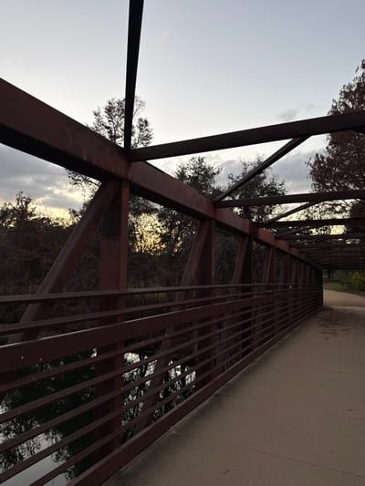 A low-angle shot of a metal bridge angled right with a concrete path along its right side. Rust-colored metal beams form the bridge's structure, creating triangular and rectangular patterns. Trees and a cloudy sky can be seen through the metal grid. The view is from below the bridge, looking upwards.