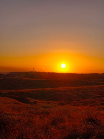 This media file depicts a vibrant sunset over a rolling landscape, likely in Be'er-Sheva, Israel. The sun, a brilliant orb of yellow and orange, dominates the horizon, casting a warm, intense glow across the sky. The sky transitions from a soft grey at the top to a deep orange and yellow near the sun, indicating the late stages of the day.
The foreground is characterized by undulating hills covered in dry, reddish-brown grass and scattered, dark-capped thistles or seed heads, suggesting a semi-arid environment. The low angle of the setting sun creates long shadows and highlights the textures of the terrain.
In the middle ground, a distant, low-lying ridge is visible, topped with a line of trees and a white structure with a tall, slender tower, possibly an industrial building or a communication tower. The terrain appears more rugged and varied here, with subtle variations in color hinting at different types of vegetation or soil. A smaller, dimmer sun-like object is visible to the left of the main sun, potentially a lens flare or atmospheric phenomenon.
The overall mood conveyed is one of warmth, tranquility, and the natural beauty of a desert landscape at dusk. The vibrant colors and the vastness of the sky evoke a sense of peace and awe. No text is visible in the image.