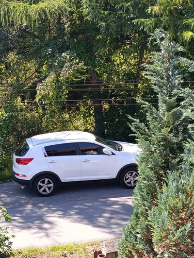 A white Kia Sportage SUV is parked on a grey asphalt driveway, partially obscured by a large evergreen tree on the right. The car is positioned with its rear end towards the left of the frame. The driveway is surrounded by lush green foliage and trees, with a hint of a brown wooden fence visible at the bottom right. Overhead power lines are strung across the upper portion of the scene, running horizontally through the trees. The lighting suggests it is daytime with sunlight casting dappled shadows on the driveway. The location is identified as Sucha Beskidzka, Poland.