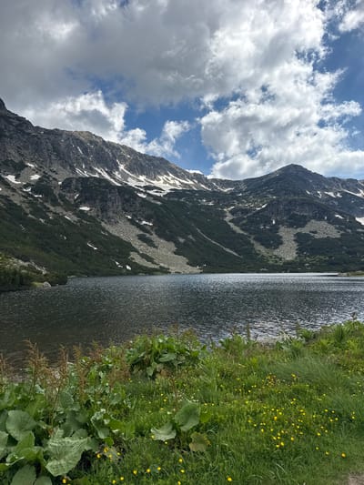 The image depicts a serene mountain lake scene in Avramovo, Bulgaria. A large, dark body of water occupies the middle ground, its surface rippled by a gentle breeze. The lake is bordered by a lush green shoreline adorned with various plants, including large-leafed vegetation and scattered yellow wildflowers.
In the background, imposing mountains rise majestically. The lower slopes are covered in dense, dark green coniferous trees, interspersed with patches of grey rocks and sparse snow. Higher up, the mountain peaks are rugged and rocky, with streaks of snow still visible despite the season, suggesting a high-altitude environment. The sky above is a vibrant blue, punctuated by scattered, fluffy white clouds that cast soft shadows on the mountains. The overall impression is one of natural beauty and tranquility in a remote mountain setting. There are no people or animals visible in the frame.