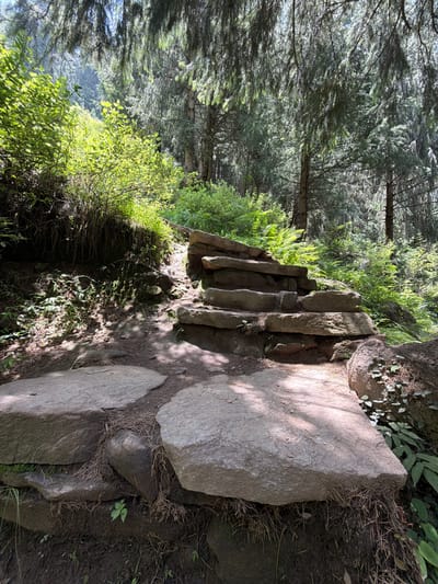 The image depicts a forest path in Bahang, India, featuring a set of rustic stone steps that ascend a gentle slope. The steps, constructed from large, uneven flat stones, are weathered and appear to be integrated into the natural landscape. The surrounding environment is lush and green, with dense foliage, trees with long, drooping needles characteristic of pine or deodar trees, and ferns. Sunlight filters through the canopy, creating dappled patterns of light and shadow on the path and vegetation. The ground is a mix of dirt, pine needles, and small stones. There are no people visible in the image.