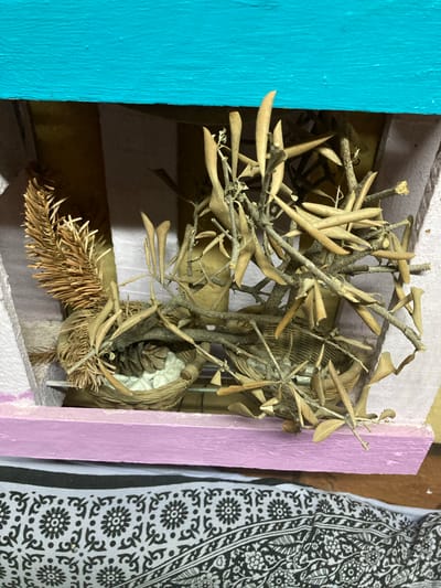 A close-up, top-down shot shows a decorative arrangement of dried natural materials within a multi-colored recessed shelf or niche. The top of the niche is painted a vibrant turquoise, and a shelf below it is painted lavender. The arrangement features a small, woven basket containing white, pebble-like objects and a pinecone. To the left of the basket, a dried pine sprig is placed upright. To the right and center, a cluster of dried branches with small, dried leaves is arranged, with some branches resting on the basket. The background appears to be a dark, indistinct surface. The niche is situated above a black and white patterned fabric, possibly a blanket or tapestry. The image does not provide any clues as to its specific location within the city of Sabadell, Spain.