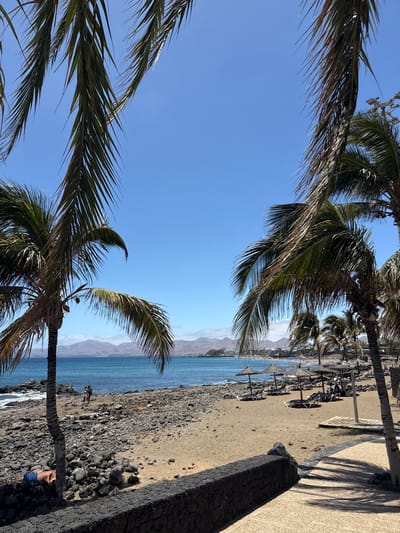 This image captures a vibrant, sunny coastal scene in Puerto Del Carmen, Spain, under a clear blue sky, indicative of bright daylight. The foreground is framed by the lush green fronds of several palm trees, some casting long shadows on the paved promenade running along the right side of the image.
The setting features a beach, which is a mix of light-colored sand and distinctive dark, possibly volcanic, rocks. The beach slopes gently towards the clear, turquoise-blue ocean. In the mid-ground, a series of straw-thatched beach umbrellas (palapas) and sun loungers are arranged on the sandy areas, suggesting a resort or tourist destination. Distant mountains or hills are visible on the horizon across the sea.
Activities observed include leisure and relaxation. Two individuals are seen walking by the water's edge on the rocky part of the beach. Closer to the foreground, a person in blue shorts is lying down amidst the dark rocks, possibly sunbathing or resting. The overall mood conveyed is one of tranquility and vacation. There is no visible text in the image.