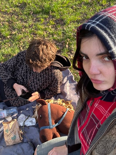 The image depicts two individuals seated on a light grey patterned blanket on a grassy outdoor surface in Saint-Mandé, France. In the immediate foreground, a female subject with dark hair, wearing a red and black plaid hooded garment over a red plaid zippered top and a dark jacket, faces the camera directly, seemingly taking a selfie. Behind her, a second individual with short, curly brown hair, dressed in a dark hooded jacket with a repeating light-colored pattern, is observed looking down at and manipulating a black smartphone held in both hands. Situated centrally on the blanket is a brown plush toy horse, fitted with a light blue bridle and a light brown mane. Other items visible on the blanket include a transparent plastic bottle of Evian water, a light brown paper bag bearing the labels "MIAM! Viennoiserie" and "Amour Bio" along with a green leaf logo, several irregularly shaped light-colored objects (some appearing partially wrapped in white material), and a small dark twig. The environment consists of bright green grass interspersed with areas of dry vegetation and visible soil, under natural sunlight which casts distinct shadows.