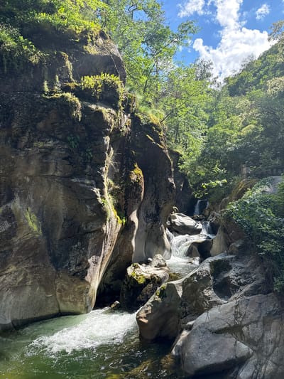 The image depicts a natural scene in the city of Kostenets, Bulgaria, featuring a fast-flowing river cascading over rocks in a gorge. Large, moss-covered rocks form the steep walls of the gorge, with lush green trees and foliage growing on the rocky slopes and canopying overhead. Sunlight filters through the trees, illuminating parts of the scene and creating shadows. In the background, a small waterfall can be seen further up the river. A wooden railing or bridge structure is partially visible on the right side of the image, suggesting human infrastructure within the natural environment. The water is clear and turbulent, indicating a rapid current. The sky above is blue with scattered white clouds.