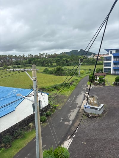 The image captures an overcast day scene in Seogwipo-si, South Korea. A paved road runs through the center, bordered by a green field on the left and a gravel area with a large rock monument on the right. The monument bears Korean text. To the right of the road, a multi-story building with blue and white accents is visible. In the foreground, a white building with a blue roof sits to the left, adjacent to a utility pole with numerous wires. The background features a dense line of palm trees and lush green vegetation, with a distinctive mountain peak in the distance.