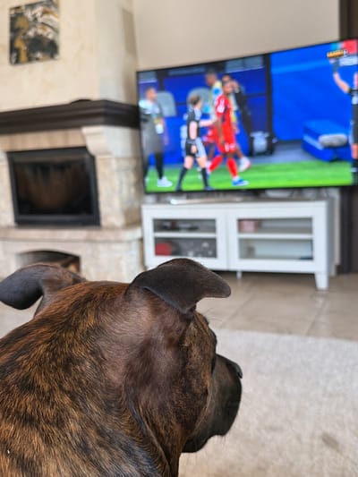 This media file captures a domestic scene in Baloži, Latvia. The primary subjects are a dog and a television. The dog, a brindle-colored breed, is positioned in the foreground, its head and ear visible from a close-up, over-the-shoulder perspective. The dog appears to be attentively watching something.
In the background, a television screen displays a vibrant image of a soccer match, with players in red and white uniforms on a green field. To the right of the television, a modern white cabinet with glass doors is visible. Below the television, a fireplace with a dark opening and a stone surround is present. An abstract piece of art or a framed photo hangs on the wall to the left of the fireplace.
The setting suggests a living room or a similar indoor space. The floor is tiled with a neutral, light-colored pattern. The overall impression is one of a relaxed, indoor activity, likely during the daytime, given the lighting. There is no visible text in the media file.