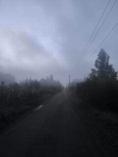 A dirt road stretches into the distance through a foggy, sparsely wooded landscape. The sky is overcast and gray, with a heavy mist obscuring the horizon. Several power lines traverse the upper right portion of the frame, supported by utility poles that are intermittently visible through the fog. Dense foliage and trees line the sides of the road, creating a somber and somewhat desolate atmosphere. The road surface appears uneven and damp, with a small puddle visible on the left side of the path. The scene is devoid of any people or visible structures, suggesting a remote or abandoned location. The overall impression is one of quiet solitude and the muted beauty of a foggy day.