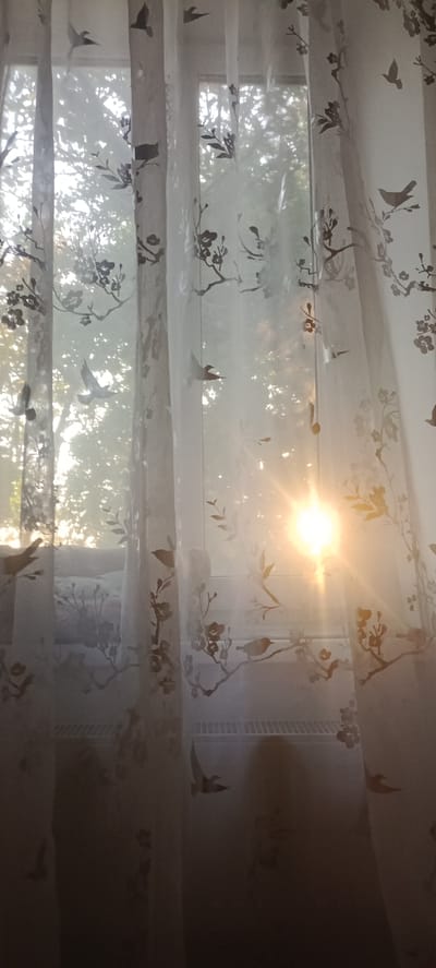 An interior shot shows a window covered by a sheer curtain. The curtain has a dark floral and bird pattern. Sunlight streams through the window, creating a bright flare. Through the curtain, trees and foliage are visible outside. A radiator is located beneath the window, partially obscured by the curtain. The scene appears to be in a residential setting, possibly an apartment in Ivanovskaya, Russia, given the style of the radiator.