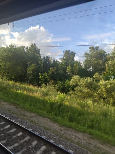 The image shows a view from a train window, looking out at a treeline and sky. In the foreground, train tracks are visible, angled from the bottom left of the frame towards the center. The tracks are made of dark ballast with light-colored ties. To the right of the tracks, a grassy embankment slopes upwards, with patches of sunlight and shadow. Beyond the embankment is a dense line of trees, predominantly deciduous, with a mix of green foliage. The sky above is a light blue with scattered white clouds. Overhead, power lines are visible, stretching across the frame. The scene appears to be captured during daylight hours. The location is identified as Konobeevo, Russia. There are no people or animals visible in the image.
