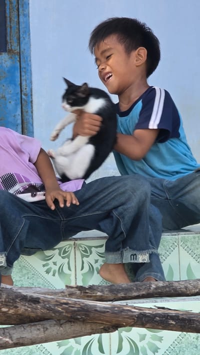 Two children are holding a black and white cat outdoors in Ba Ngoi Ward, Vietnam. One child wears a blue shirt, while the other wears a light purple shirt and blue jeans. The background includes a blue wall and patterned tile flooring. A stacked wood pile is visible on the right.