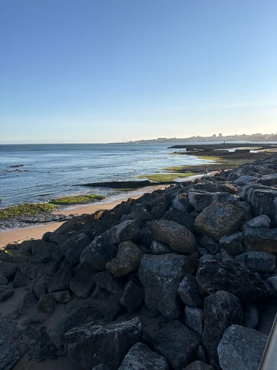 The image captures a coastal view in Cascais, Portugal, likely along the waterfront promenade. In the foreground, a dense collection of large, dark gray rocks forms a barrier along the edge of the sand and sea. The beach area to the left features sand and patches of green seaweed-covered rocks, with the calm blue ocean stretching towards the horizon. In the middle ground, a person is walking along the sand, with a second person or dog visible nearby. Further in the distance, the coastline is lined with buildings and structures, including what appears to be a breakwater or pier extending into the sea. The sky above is a clear, light blue, indicating fair weather. The overall impression is a serene, sunlit coastal scene.