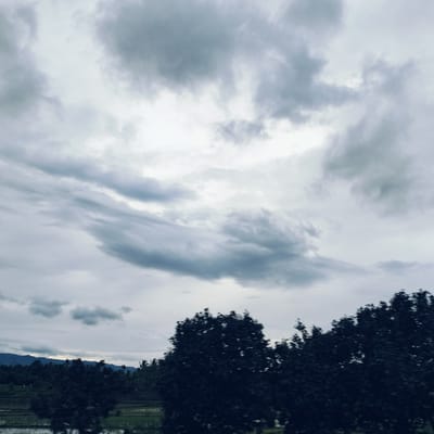 The image captures an expansive, overcast sky dominating a natural landscape. The sky is filled with numerous clouds in shades of gray and white, some appearing wispy and elongated, suggesting movement. The lighting is diffused and dim, indicating an overcast day, possibly early morning, late afternoon, or leading up to rain.
In the mid-ground, a range of dark mountains or hills stretches across the horizon, appearing as an undulating silhouette beneath the cloudy sky. Below these mountains, patches of green land are visible, likely agricultural fields such as rice paddies, partially obscured by closer vegetation.
The foreground is characterized by dense, dark silhouettes of trees, particularly on the right and left sides. These trees show signs of motion blur, implying the photograph was taken from a moving vehicle or with some camera shake. The foliage is not distinctly detailed, appearing as dark masses against the lighter sky and distant landscape. No people, specific objects, or visible text are present in the image. The scene suggests a rural or natural setting, consistent with the provided location context of Seuot Tunong, Indonesia. The overall mood is quiet and atmospheric, defined by the muted colors and cloudy weather.
