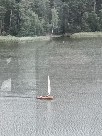 The image shows a body of water with a small wooden sailboat with a white sail in the middle. In the background, there is a dense green forest with some tall trees and shorter shrubs. The water has a rippled surface, reflecting the sky and the surrounding greenery. The shoreline in the background features a band of lighter green reeds or grass separating the water from the forest. The overall scene is serene and natural, likely a lake or a large pond, given the presence of a sailboat. This scene is consistent with the natural landscapes found around the city of Doksy in the Czech Republic, particularly near Mácha Lake, which is known for its recreational activities and surrounding forests.