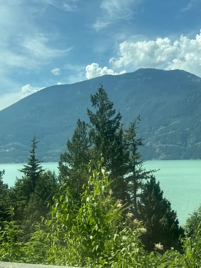This media file captures a picturesque natural landscape in Area D (Elaho/Garibaldi), Canada. The scene is dominated by a towering, steep mountain covered in a dark, muted green hue, suggesting a vast forested slope. To the right of the mountain, a body of water, likely a lake or fjord, exhibits a striking turquoise or aquamarine color, shimmering under daylight.
In the foreground, lush green foliage and the dark silhouettes of pine trees frame the view. Some of the foliage shows delicate white flowers, adding a touch of contrast and detail to the verdant scene. The sky above is a bright, clear blue, punctuated by fluffy white cumulus clouds and wispy cirrus clouds, indicative of fair weather.
The image appears to be taken from a slightly elevated viewpoint, possibly from a road or trail overlooking the water and mountain. There are no people or man-made objects prominently visible, emphasizing the wild and natural beauty of the location. The overall mood conveyed is one of tranquility and awe, showcasing the majestic scenery characteristic of the Elaho/Garibaldi region. The time of day appears to be daytime, given the bright sky and sunlight illuminating the landscape. No text is visible in the media file.