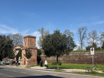 This image depicts a scene along the historic city walls of Lucca, Italy, on a clear, sunny day.

In the foreground, a gray asphalt road runs horizontally. To the right of the road is a light-colored paved sidewalk, bordered by a strip of green grass and various trees.

A prominent two-story, square, weathered brick tower stands on the left side of the image, featuring a narrow vertical window on its visible face. Behind this tower and partially obscured by dark green trees, a light-colored classical-style building with a pediment is visible. To the left of the tower, on the sidewalk, a group of approximately five to six pedestrians are walking to the right. Several white scooters and a white car are parked further left on the sidewalk.

To the right of the brick tower, a large, dark green evergreen tree is situated in the midground. Two individuals are walking on the sidewalk to the right of this tree, moving towards the right side of the frame. One individual, dressed in dark attire, walks alongside another person wearing a white coat, who is pulling a black wheeled suitcase.

Further to the right, a section of the Lucca city wall, constructed from dark red-brown brick, stretches horizontally, topped with green grass and several bare deciduous trees. A white circular traffic sign with a red border and a diagonal red line (indicating "No Parking" - "DIVIETO DI SOSTA") is prominently displayed. Leaning against the sign's pole is a silver bicycle with brown accents.

The sky above is bright blue with scattered, wispy white clouds.