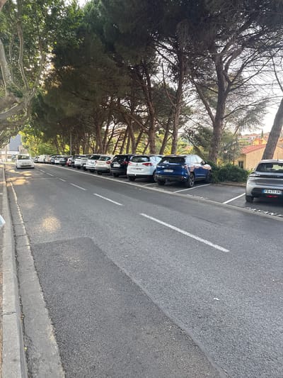 The image shows a street in Collioure, France, lined with parked cars and trees. The street is paved and has white lane markings. On the left side of the street, there is a sidewalk with a curb. Several cars are parked along the right side of the street in designated parking spots. The trees are tall and mature, casting shadows on the street and cars. In the background, there are buildings, some with red-tiled roofs, and a hillside. The sky is visible through the trees, appearing bright and possibly hazy. The overall scene suggests a residential or commercial area within a town.