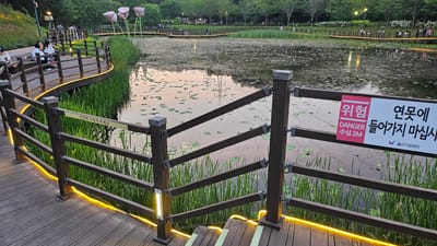 The image shows a scenic view of a park in Ulsan, South Korea. A wooden walkway, fitted with a railing and illuminated with yellow LED lights, curves to the left. People are seated along the walkway, observing the scene. The foreground features a wooden fence with a warning sign written in Korean, advising visitors not to enter the pond due to its depth of 2 meters. The pond is covered with water lilies and reflects the sky. In the background, additional pathways, trees, and people are visible, creating a tranquil park atmosphere. Artificial flower decorations can be seen in the distance.