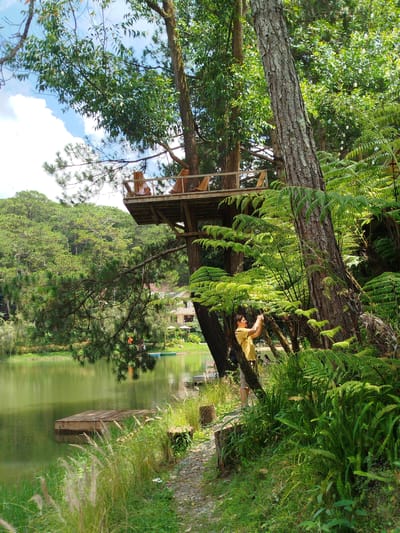 The image depicts a serene natural setting likely located near Cam Ly waterfalls in Da Lat, Vietnam. A wooden treehouse with chairs is visible nestled amongst lush green trees and ferns. A tranquil lake or pond occupies the left side of the frame, with a wooden dock extending into the water. In the foreground, a person in a yellow shirt is taking a photograph with their phone. The surrounding environment is abundant with greenery, featuring tall trees, dense ferns, and tall grasses. The sky above is partly cloudy, with patches of blue peeking through. The scene evokes a sense of peace and natural beauty.