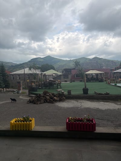 This is a full, eye-level, outdoor, medium shot of a cafe or restaurant seating area in Goris, Armenia, on a cloudy day. In the foreground, there are two planters, one yellow and one red, each containing small flowers. A black cat is walking on the gravel in the midground. Behind the cat is a pile of rocks. Further back, there is a green turf area with tables and chairs set up, some under canopies. Buildings with stone and red-roofed facades are visible in the background, along with lush green mountains and a radio tower on one of the peaks. The sky is filled with dramatic, grey clouds.