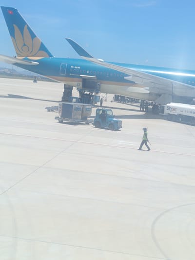 The image captures a scene at Cam Ranh Airport, Bắc Cam Ranh, Vietnam, on a clear day under a blue sky. A large, teal-colored airplane with gold detailing, identified by the registration "VN-A896," is parked on the tarmac. The aircraft's tail features a stylized lotus flower design in gold against the teal background, and a Vietnamese flag is visible at the top of the tail.
Several pieces of airport ground equipment are present around the aircraft. A blue tow tractor is positioned to the left of the image. Further to the right, a white fuel truck with "SKYPEC" branding is visible. Cargo containers are also on the tarmac, some loaded onto dollies.
A single individual, wearing a high-visibility yellow vest and a hat, walks across the tarmac, holding two red batons. This person appears to be an airport ground crew member guiding or signaling. Other people are scattered around the aircraft and equipment, some appearing to be passengers or additional ground personnel. The ground is paved with concrete, marked with white and red lines, indicating taxiways and runways. The overall environment suggests active airport operations.
