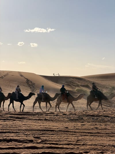 This image captures a camel caravan traversing vast sand dunes in a desert environment, likely Et-taous, Morocco. Several individuals, appearing to be tourists, are mounted on camels, proceeding in a single file line across the sandy terrain. At least five camels are clearly visible, each carrying a rider and equipped with saddles and harnesses.
The landscape is dominated by large, undulating sand dunes. The foreground shows intricately rippled sand patterns, indicating wind activity, and camel footprints. A prominent dune rises in the mid-ground, casting subtle shadows that highlight its contours.
The sky transitions from a pale blue at the top to a warm, soft yellow or orange hue near the horizon, suggesting either early morning or late afternoon light, often referred to as golden hour. A few scattered, wispy white clouds are visible against the sky. The overall lighting is soft but clear.
The activity depicted is a camel trek or desert safari, a common tourist experience in such regions. The riders are dressed casually, with some wearing head coverings. There is no visible text in the image.