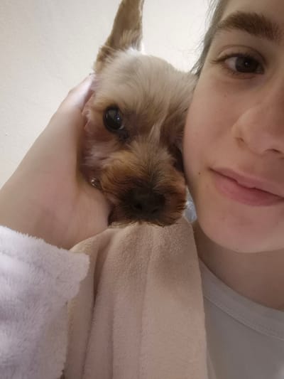 An intimate, close-up shot captured from a low angle shows a person and a small dog cuddling or resting together. The image is oriented such that the person's face occupies the bottom right portion, with their left eye, nose, and mouth visible, suggesting a slight, soft smile. Their fair skin and dark brown eyebrows are noticeable.
The small dog, likely a Yorkshire Terrier or similar breed, with fluffy brown and tan fur, has its head positioned near the person's shoulder or neck area, partially obscuring the person's right side. The dog's dark eyes are visible, looking towards the camera.
A light-colored, fluffy fabric, possibly a blanket or soft robe, covers part of the upper left side of the frame, providing a comfortable backdrop for the subjects. Another lighter, smoother fabric can be seen underneath this fluffy layer. The background is a plain, light, almost white surface, suggesting an indoor setting like a wall or ceiling. The scene evokes a feeling of warmth, affection, and peaceful companionship between the human and their pet. No specific time of day or location cues for Pavlikeni, Bulgaria, are visible, beyond the domestic setting. There is no visible text.