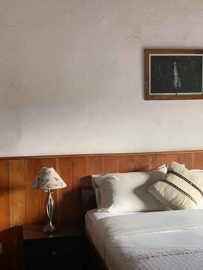 The image shows a bedside scene in a hotel room in Nuwara Eliya, Sri Lanka. A bedside table with a lamp on it is to the left, and a bed with white linens and two pillows is to the right. A framed picture of a waterfall hangs on the textured white wall above the wooden headboard. The lamp has a shade decorated with butterflies. One of the pillows is beige with a ribbed texture and dark decorative trim. The overall impression is of a cozy, possibly rustic, hotel room.
