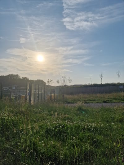 The image depicts an outdoor scene in the city of Canterbury, United Kingdom. The sky is bright with the sun positioned high and slightly to the left of center, casting a soft, diffused light across the landscape. Wispy white clouds are scattered across a pale blue sky. In the foreground, tall green grass and some flowering plants are visible, suggesting a natural or semi-natural area. Behind the grass, a metal fence runs horizontally across the frame, with sections of chain-link and slatted metal panels. Beyond the fence, there are some buildings and structures, possibly part of an industrial or commercial area, with a wooden fence and several young trees planted in a row. The overall impression is a daytime scene, likely in the late morning or early afternoon, with good visibility.