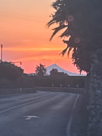 An eye-level, medium shot captures a sunset scene in Les Marines, Spain, looking towards a mountain in the distance. The sky is dominated by vibrant hues of orange and pink, suggesting the sun is low on the horizon. Silhouetted against the colorful sky are the shapes of palm trees and other foliage, framing the view. A dark, textured wall or structure is visible on the right side of the frame, partially obscuring the scene. In the midground, a road curves gently, with white lane markings visible on its asphalt surface. A prominent white arrow painted on the road indicates direction. In the far distance, the silhouette of a mountain with a snow-capped peak rises against the sunset. A single palm tree stands in the mid-distance, to the left of the mountain. A traffic light is also visible on the left side of the image. The overall impression is one of a peaceful, twilight landscape.